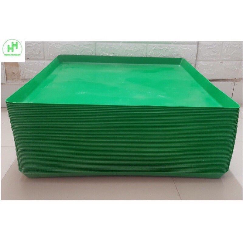 Khay bồ câu 60 x 50