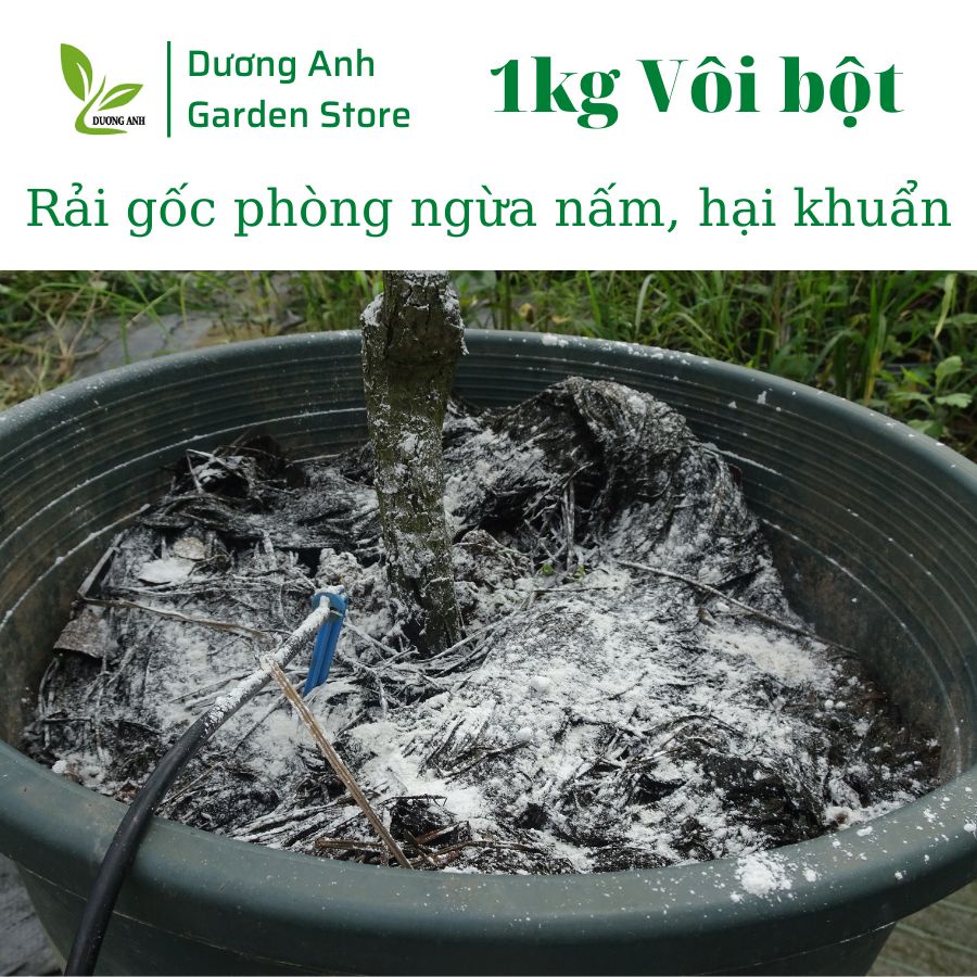Vôi bột phòng nấm