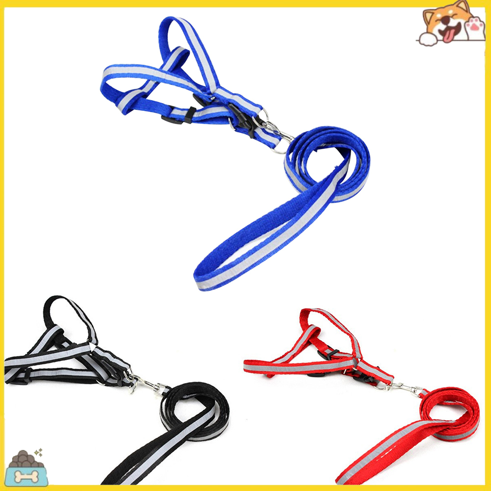 Dây đeo dắt thú cưng đi dạo thoải mái