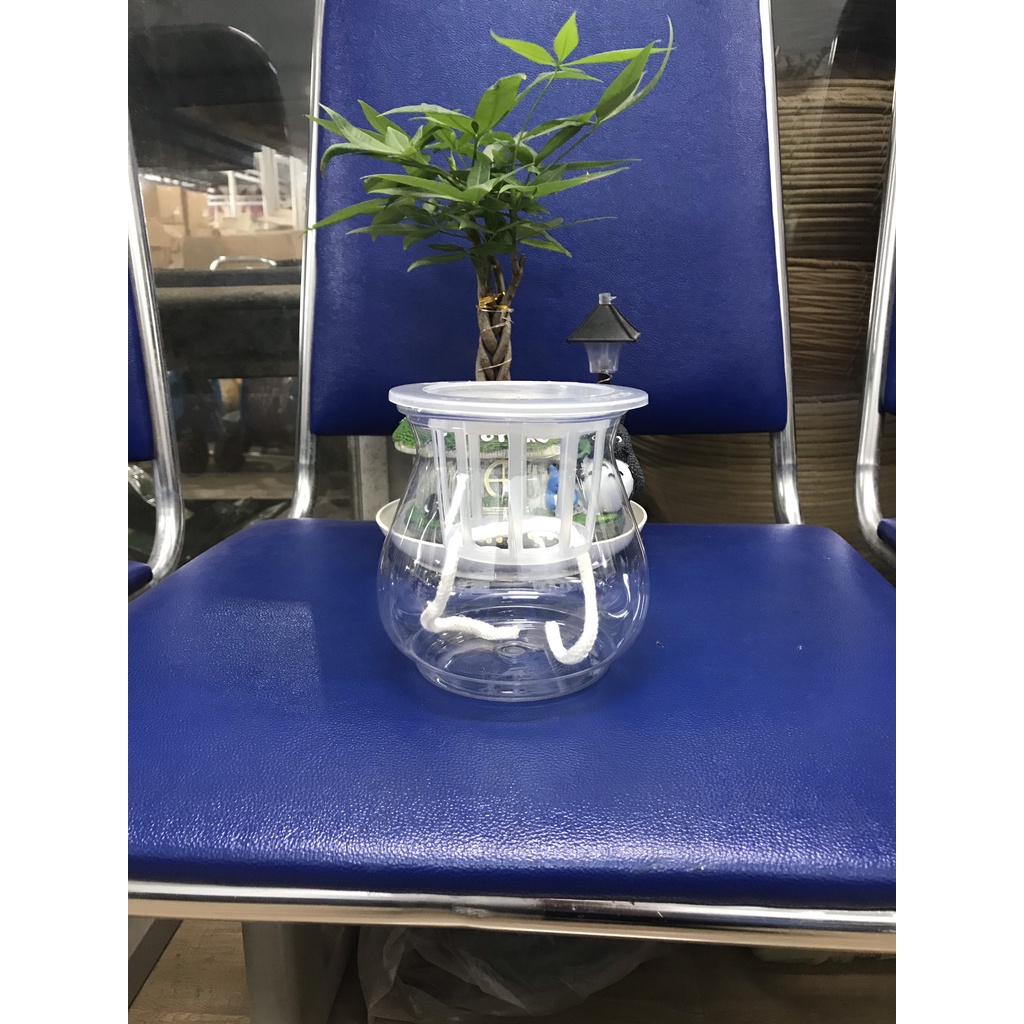 Chậu trồng thủy sinh 511 bằng nhựa trong suốt cao 13cm, miệng 10cm,hàng đẹp và sẵn kho