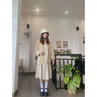 Đầm hàng nút chấm bi D1112 TALY