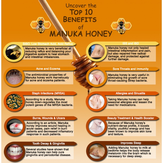 Mật ong manuka Manuka Health MGO 263+ Manuka Honey Blend 500g [Hàng Mỹ hạn dùng 2025]
