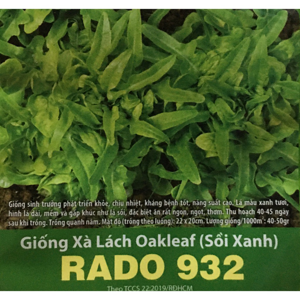 Giống Xà lách Oakleaf (sồi xanh)