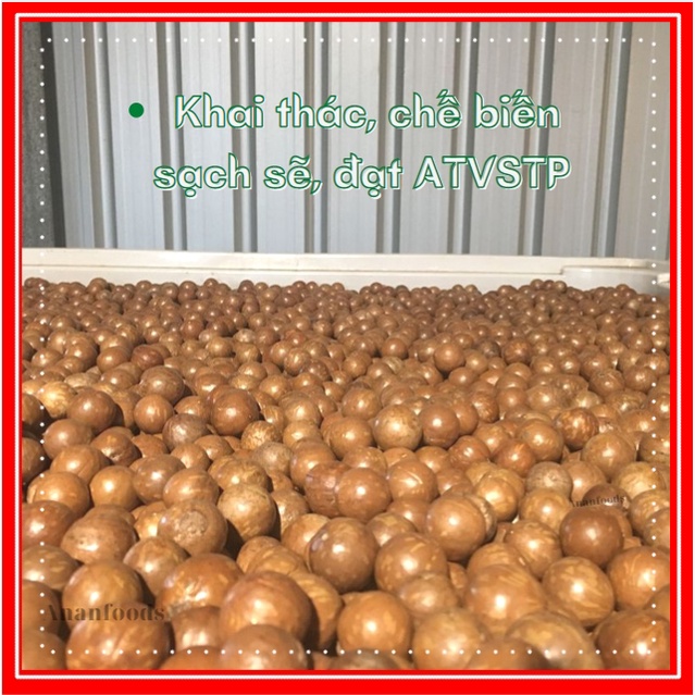 Hạt Macca Tách Vỏ 500gr Mac ca Sấy Thực Phẩm Dinh DưỡngThực Dưỡng Mắc Ca ANANFOODS - MACCA500GR
