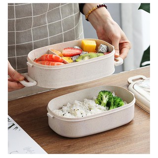 Hộp cơm lúa mạch 2 tầng GD53