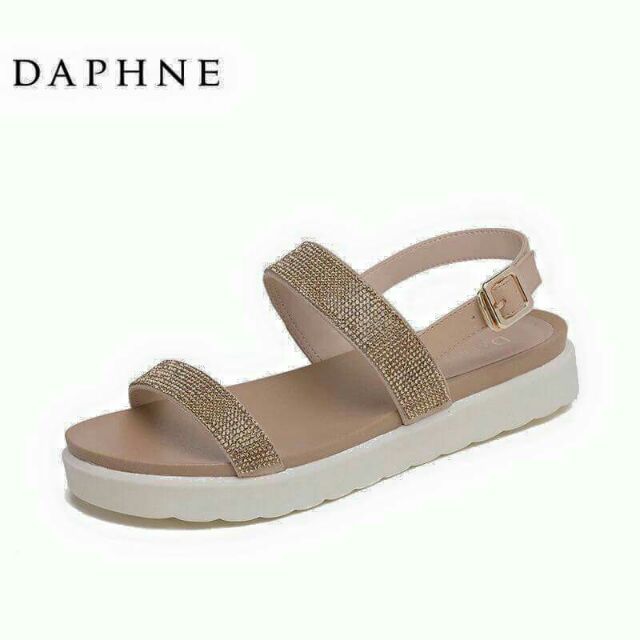 SANDANL DAPHNE