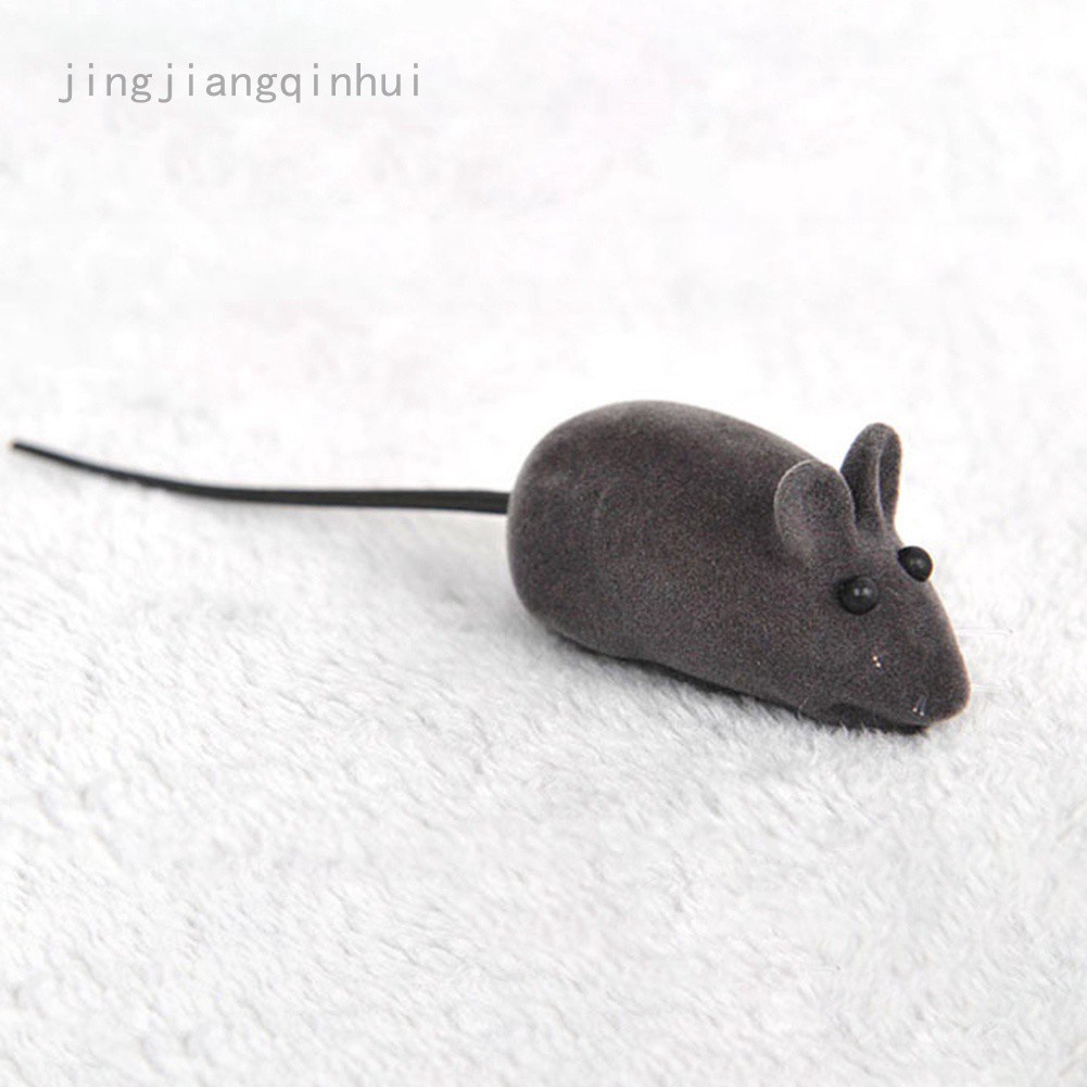 1 Chú Chuột Cao Su Đồ Chơi Cho Mèo