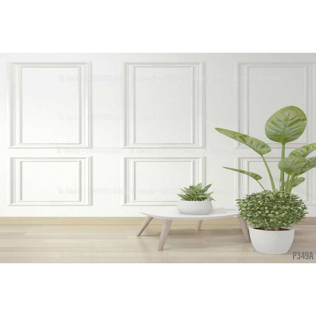 Phông nền Livestream Chụp Ảnh Khổ Đứng+Khổ Ngang 3D 5D