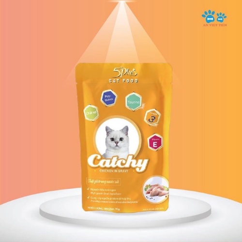 Pate Catchy 5plus dành cho mèo cưng dạng gói 70g nhiều vị hàng việt nam chất lượng cao