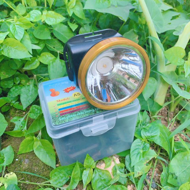 ĐÈN PIN SIÊU SÁNG ĐỘI ĐẦU A5_ 50W - chiếu sáng siêu xa- có sạc và dây đeo
