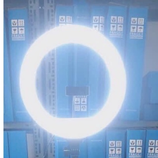 Bóng đèn livestream