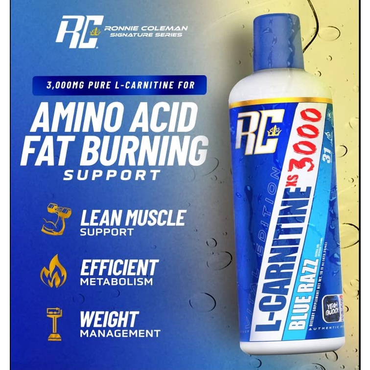 L Carnitine 3000 dạng lỏng 31ser - Hỗ trợ giảm Mỡ, chuyển hoá chất béo, kết hợp tập thể thao giảm Mỡ mạnh mẽ