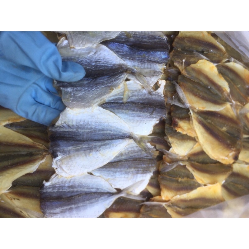 [giá kho] CÁ CHỈ VÀNG/ KHÔ CÁ CHỈ/ CÁ CHỈ VÀNG KHÔ/ KHÔ CÁ CHỈ VÀNG CỠ VỪA CÔ TÔ 500G, 1kg