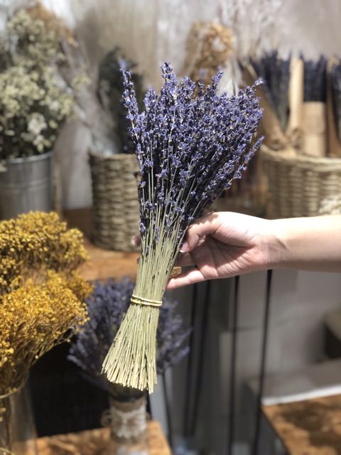 Hoa lavender khô, oải hương khô nhập Pháp