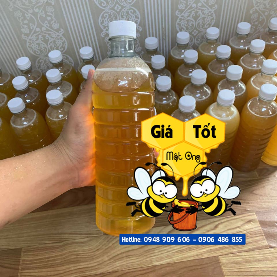 COMBO 1G SAFFRON - 1L MẬT ONG NGUYÊN CHẤT | BigBuy360 - bigbuy360.vn