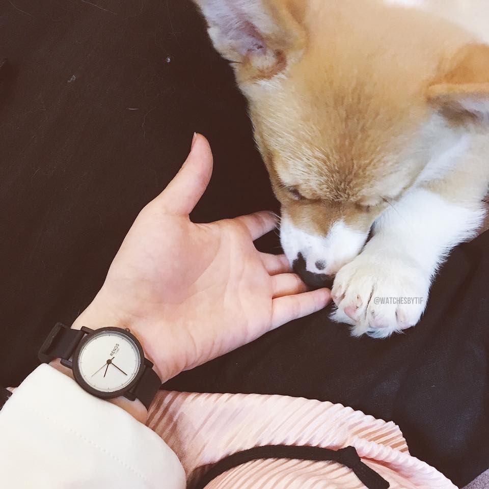 Đồng hồ cặp nam nữ dây cao su RENOS TRƠN trắng xám đồng hồ đôi thể thao cá tính Watchesbytif size 26mm & size 38mm | BigBuy360 - bigbuy360.vn