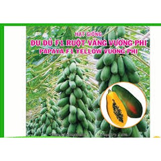 Hạt Giống Đu Đủ F1 Ruột Vàng Vương Phi-10 hạ