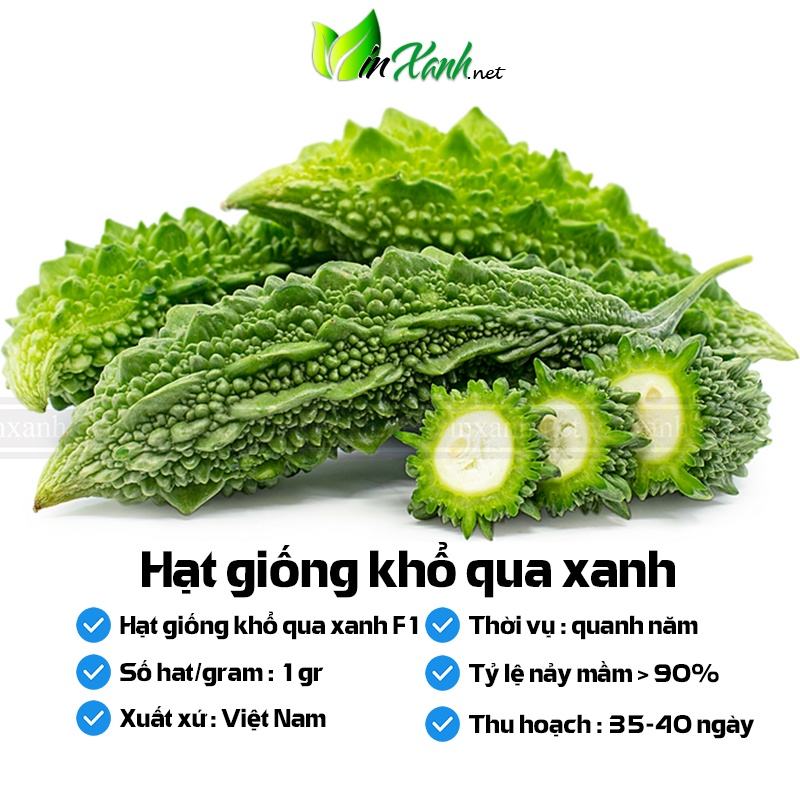 Hạt giống khổ qua xanh/ mướp đắng F1- NGUYÊN GÓI hàng Công ty tuyển chọn tỷ lệ nảy mầm cao