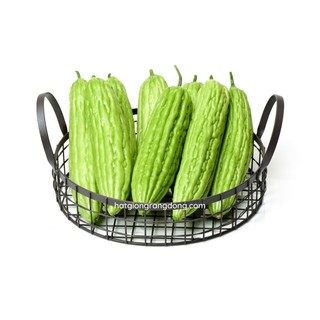 Hạt Giống Khổ Qua Mỡ Trái Dài TISSA 373 gói 2gr ( Mướp Đắng), Trồng Quanh Năm, Trái Dài 17-18cm, Thu sau 38-40 Ngày