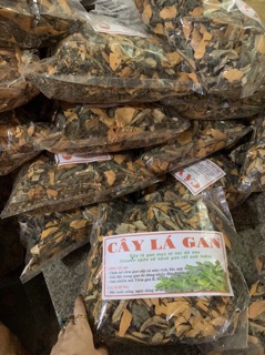 Cây lá gan rừng 1KG