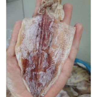 1 CON MỰC KHÔ y hình