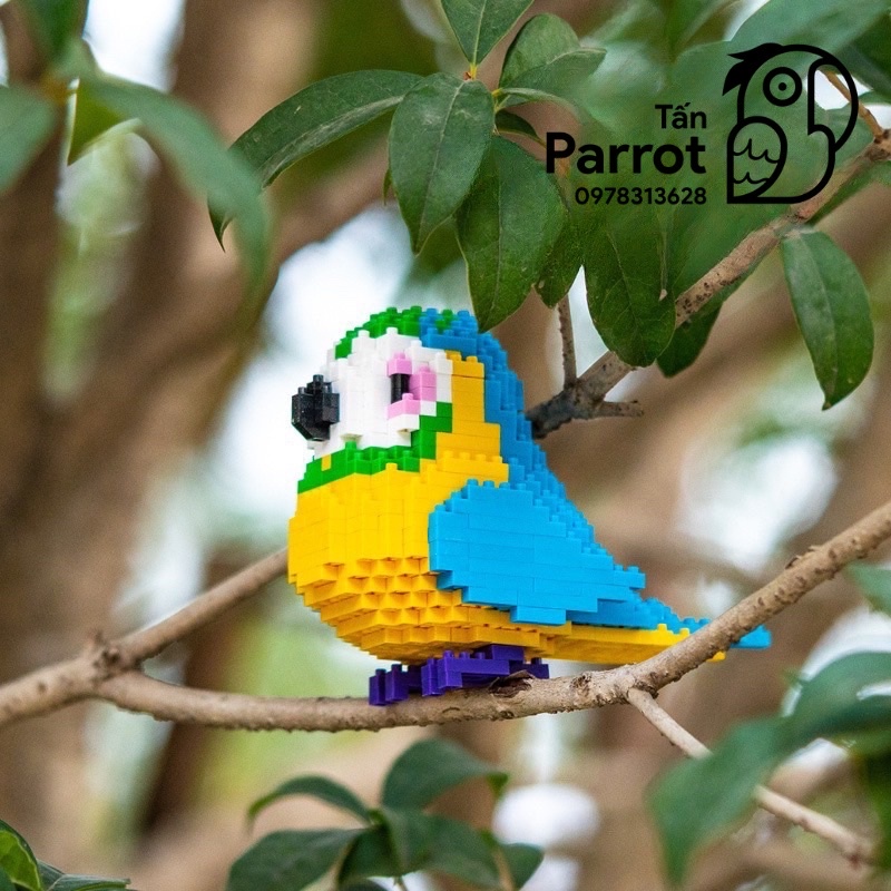 Lắp ráp Lego hình vẹt cao cấp