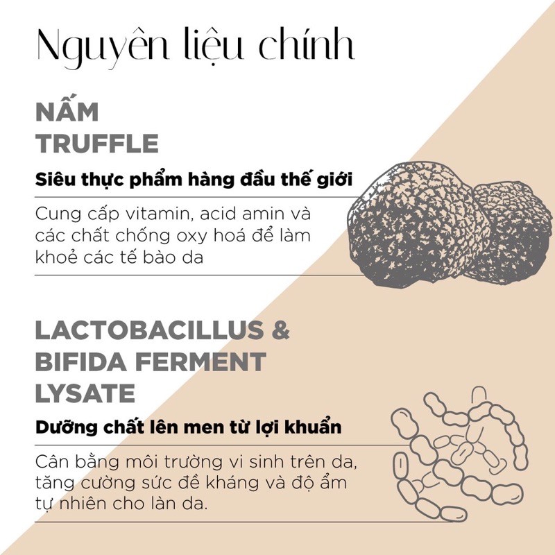 [CHÍNH HÃNG] KEM DƯỠNG PHỤC HỒI TẾ BÀO DA BAN ĐÊM LANCI | BigBuy360 - bigbuy360.vn