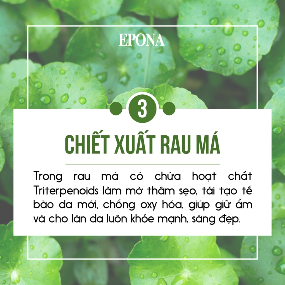 Kem Dưỡng Mờ Nám, Trẻ Hóa, Phục Hồi Da Chiết Xuất Hồng Sâm Ngàn Năm Epona Original Red Ginseng Gold Whitening 50ml