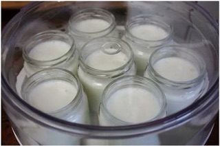 Máy làm sữa chua 8 cốc thuỷ tinh