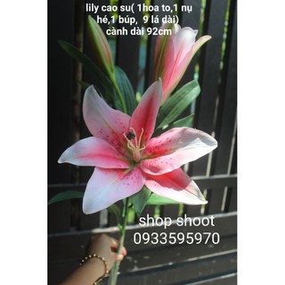Hoa lily cao su cực đẹp