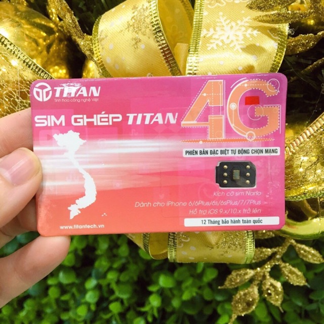 Sim ghép titan thần thánh