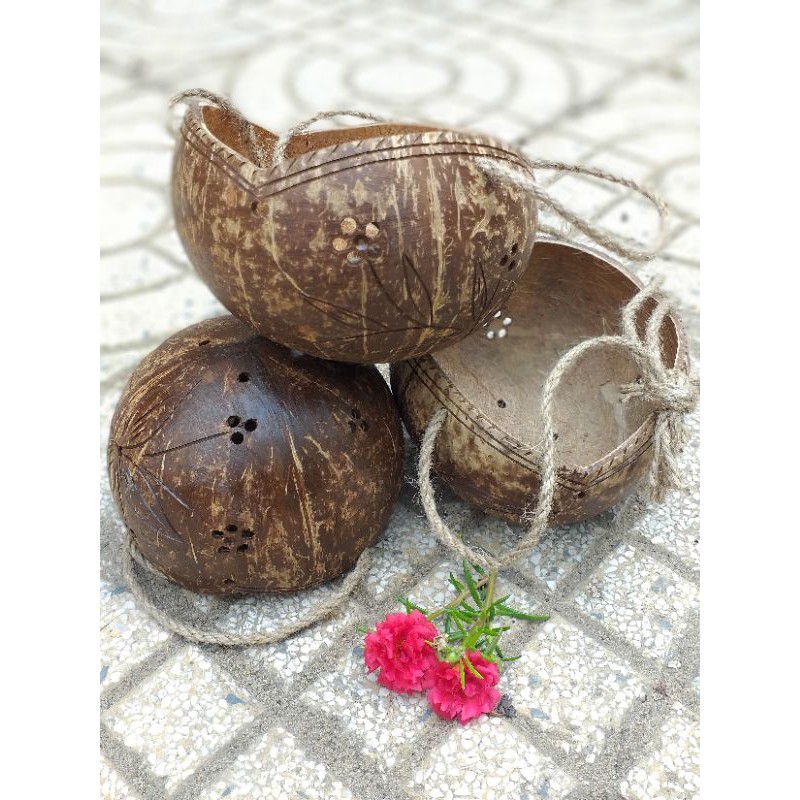 Chậu gáo dừa miệng 3 cánh sơn bóng kèm dây bố