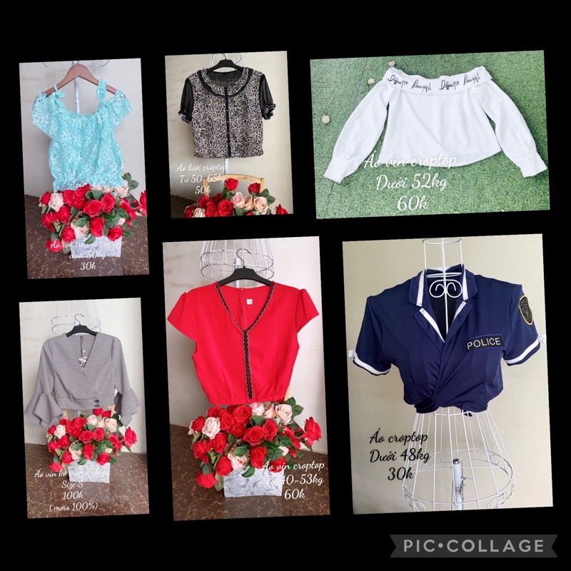 Áo vin croptop kiểu