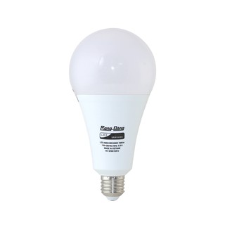Bóng đèn LED Bulb có model A95N1/20W