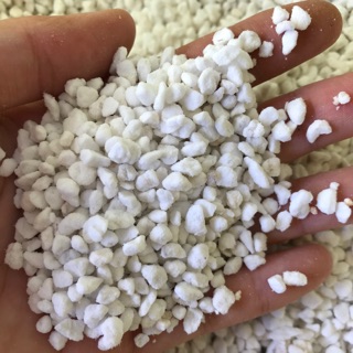 Đá Perlite - Đá trân châu rải măt trộn giá thể trồng sen