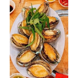 Bào Ngư Hàn Quốc size 1kg~20 con