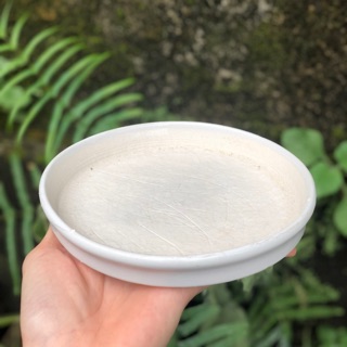 Đĩa kê chậu, đĩa lót chậu