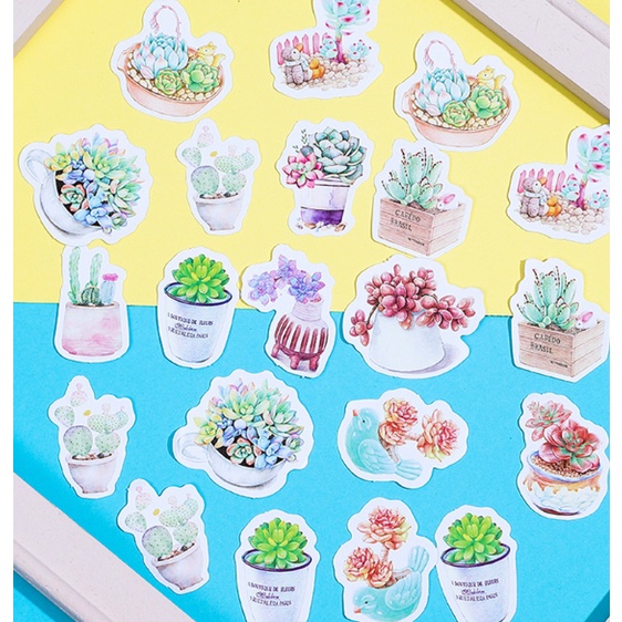 KimiTape Sticker hộp 45 hình dán sen đá trang trí Bullet Journal