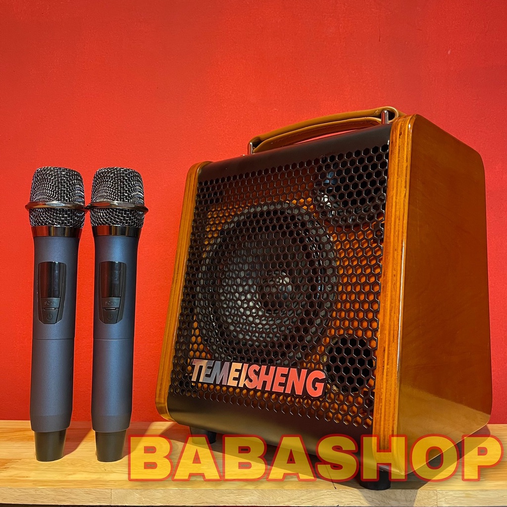 Loa kéo karaoke mini Temeisheng JT0653 - Tích hợp vang số, có Reverb - Micro chông hú