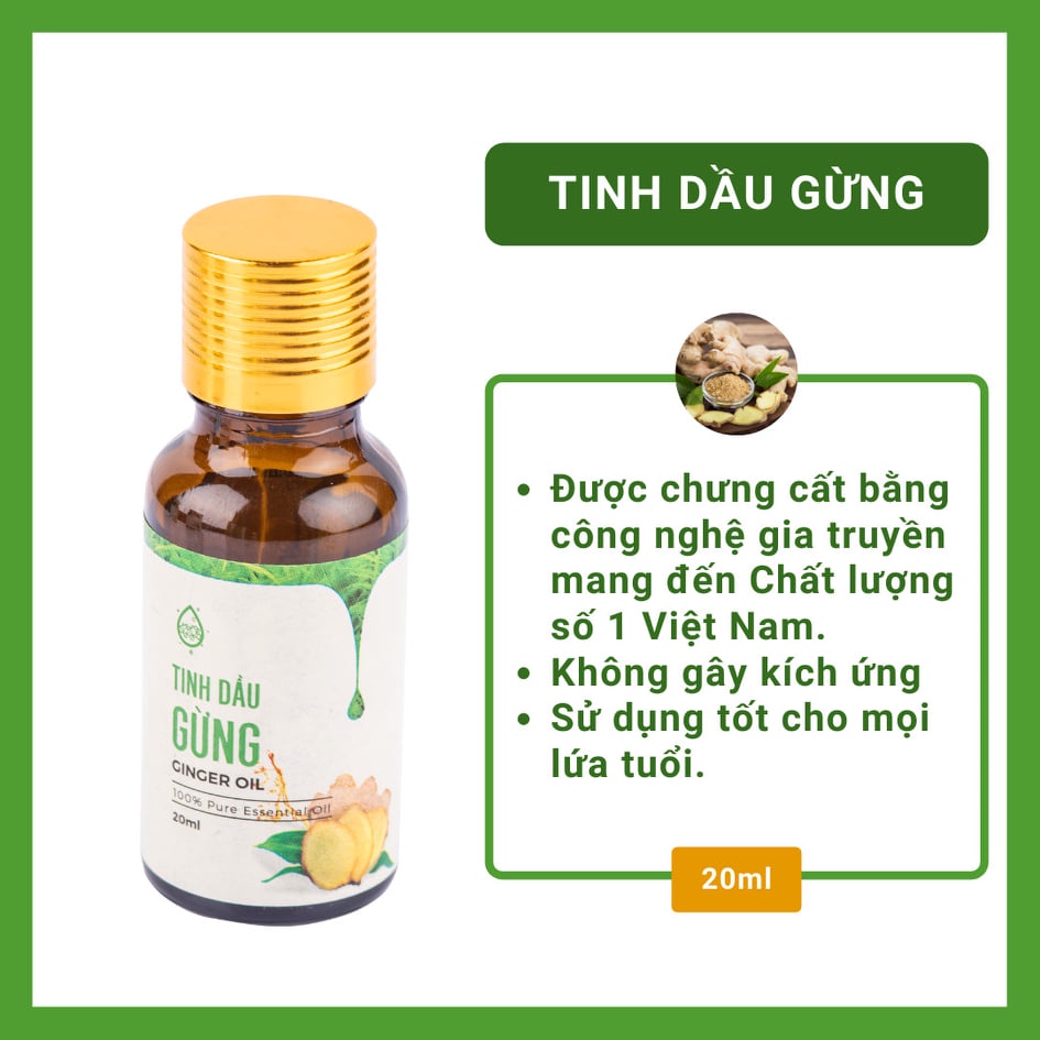 [20ml] Tinh dầu gừng Trí Đức