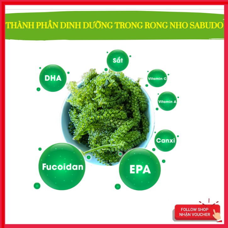 [RONG NHO SẠCH] Rong Nho| Rong Biển Tách Nước Sabudo và Umibudo Gói 20g Tặng Kèm Sốt Mè Rang | BigBuy360 - bigbuy360.vn