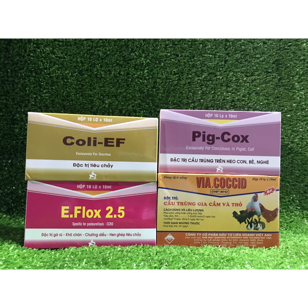 Set combo thuốc cho thỏ