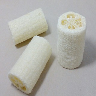 Xơ Mướp Miếng Tắm Rửa Bát