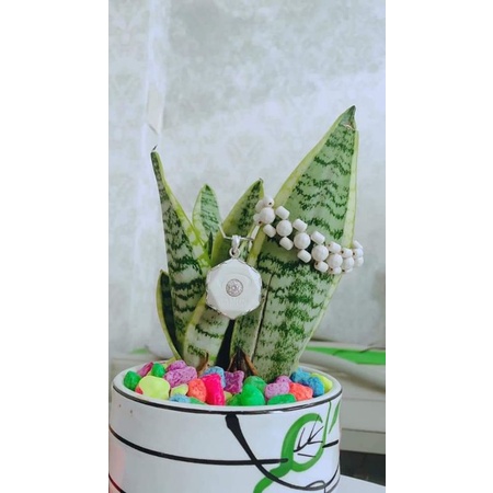 Đá ruby banh Jamun