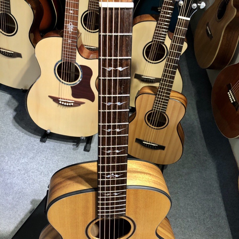 Guitar Acoustic 3/4 Thuận Guitar PS-03TIN EQ