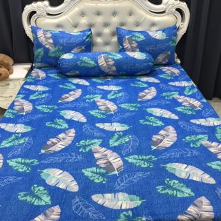 Bộ Drap Thun Hàn Quốc mát lạnh 4 món (Inbox nhiều mẫu lựa chọn)