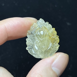Hồ Ly Tóc Vàng Phong Thuỷ