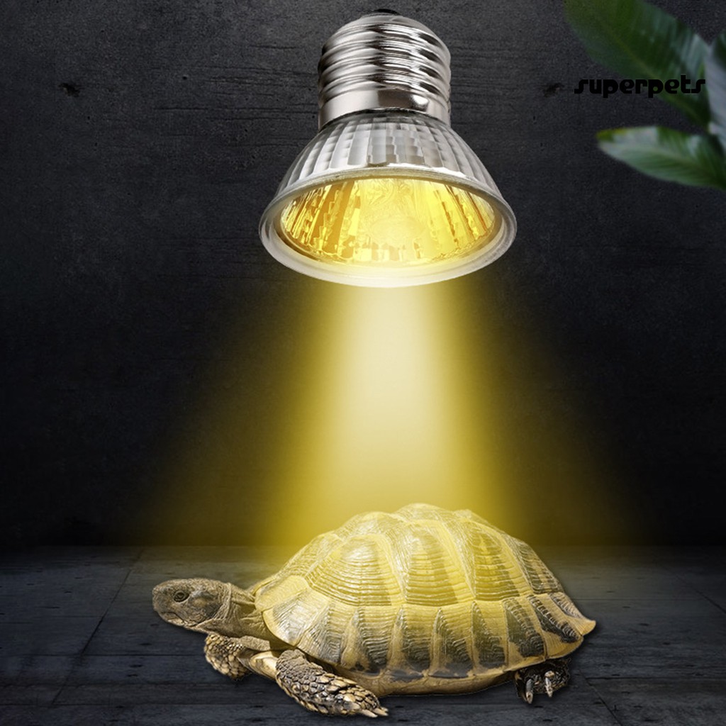 Bóng Đèn Uva Uvb 3 Trong 1 Chuyên Dụng Cho Nuôi Bò Sát | BigBuy360 - bigbuy360.vn