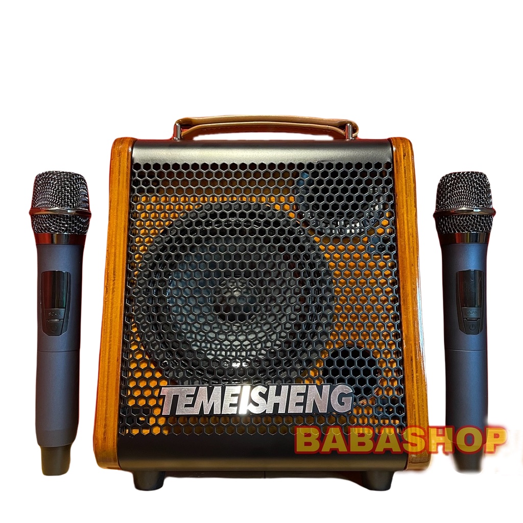 Loa kéo karaoke mini Temeisheng JT0653 - Tích hợp vang số, có Reverb - Micro chông hú
