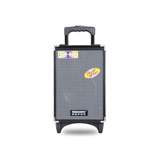 Loa kéo di động Temeisheng A8-2